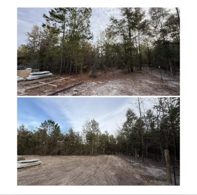 Crawfordville Land Clearing