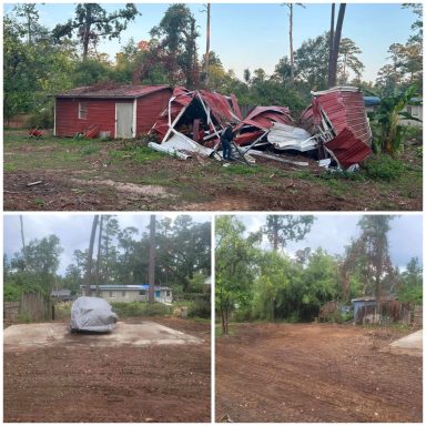 Tallahassee Shed Removal