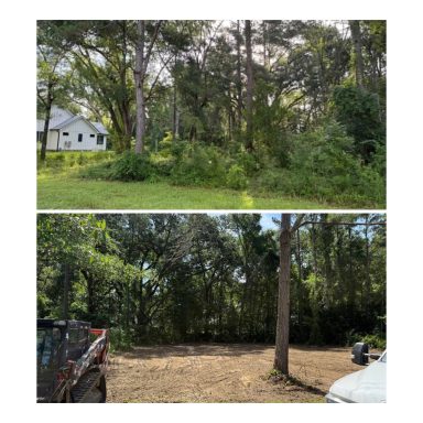 Monticello Land Clearing/New Construction